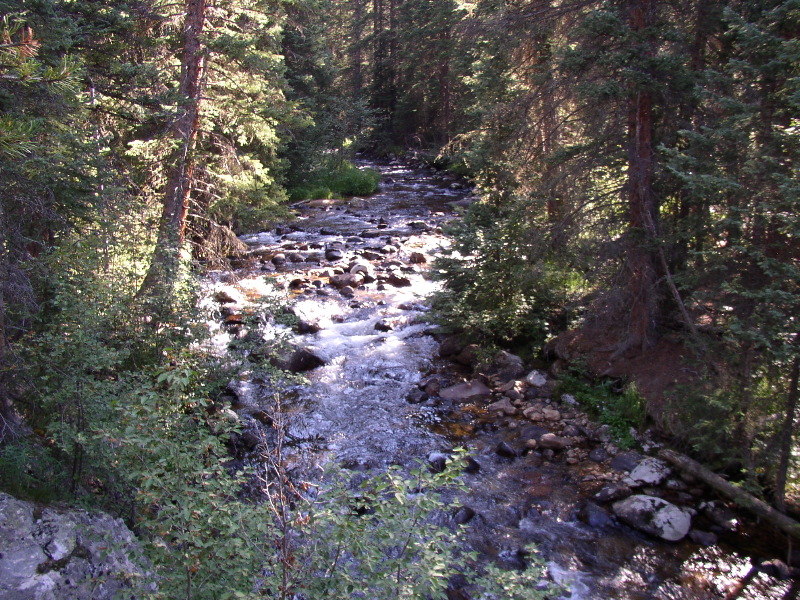 P8150159