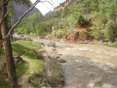P5020056.JPG