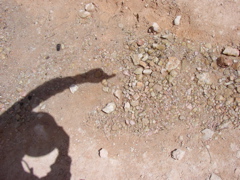 P5030037.JPG
