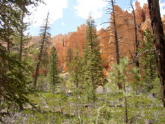 P5030054.JPG
