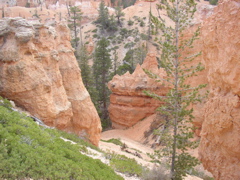 P5030075.JPG