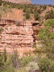 P5040103.JPG