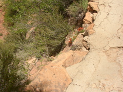 P5040113.JPG