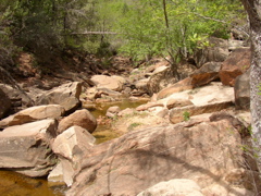 P5020084.JPG
