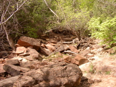 P5020087.JPG