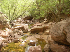 P5020091.JPG