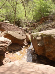 P5020094.JPG