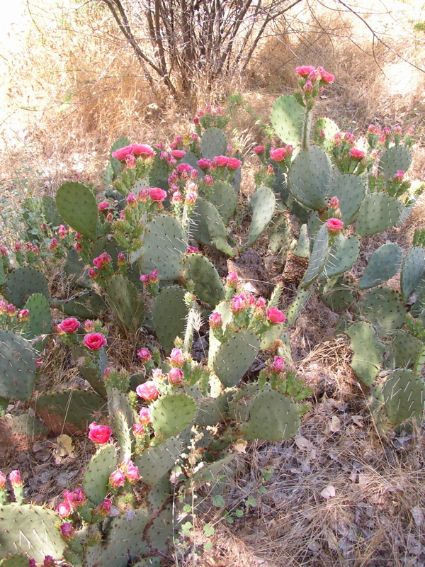 P3070084