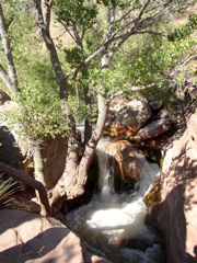 P3070065