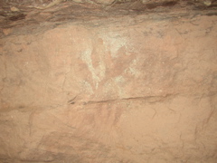 P3070068
