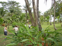 P1010031
