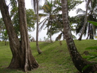 P1010032