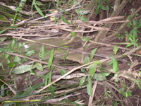 P1010039