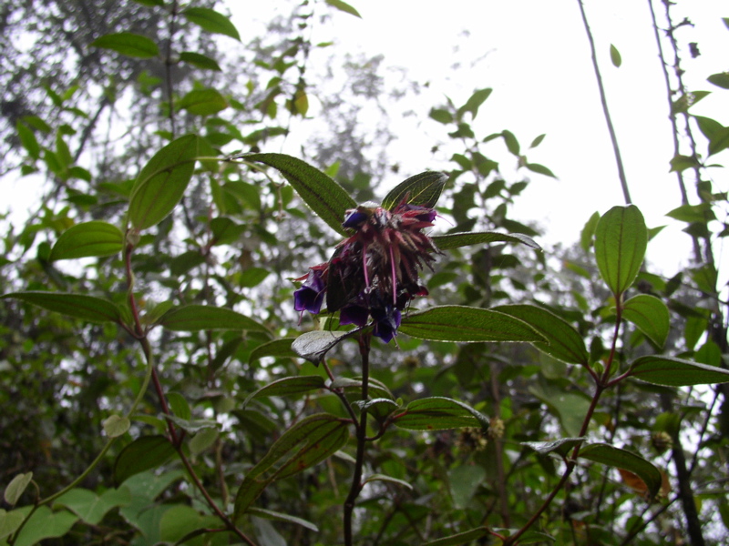 PA020019.JPG