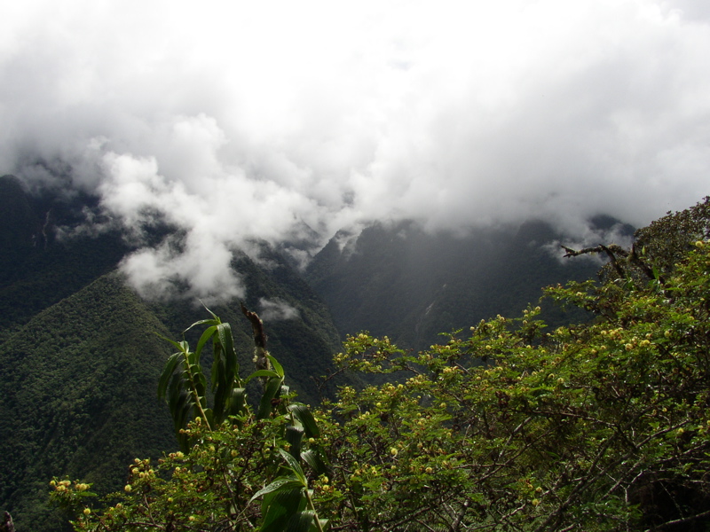 PA020086.JPG
