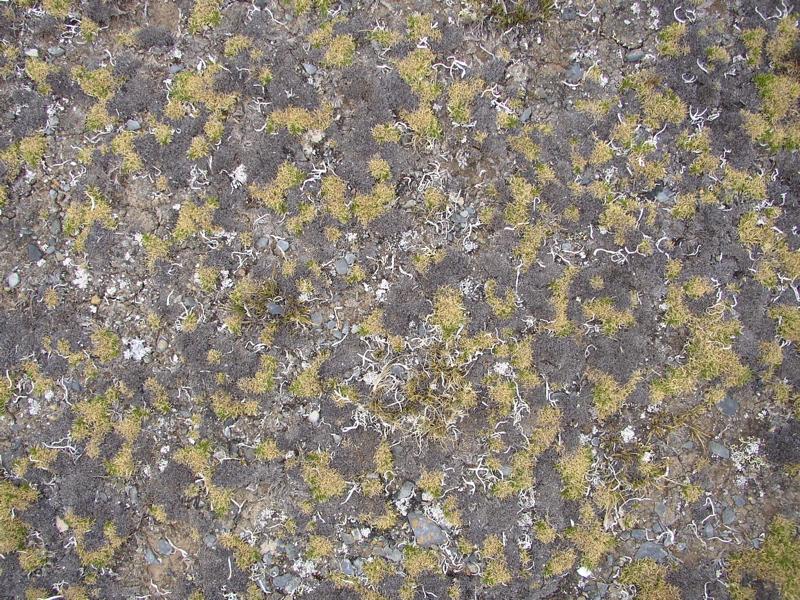 PA090017.JPG