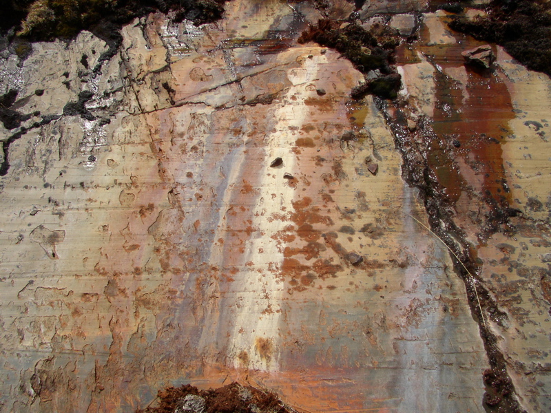 PA120002.JPG