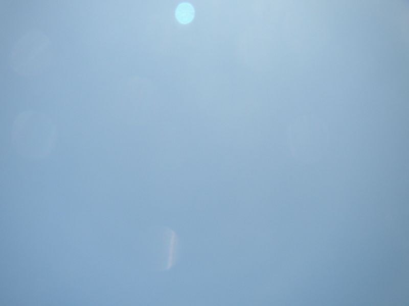 PA130036.JPG