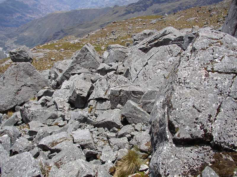 PA140039.JPG
