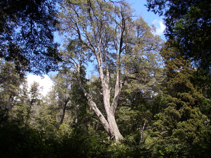PB040241.JPG