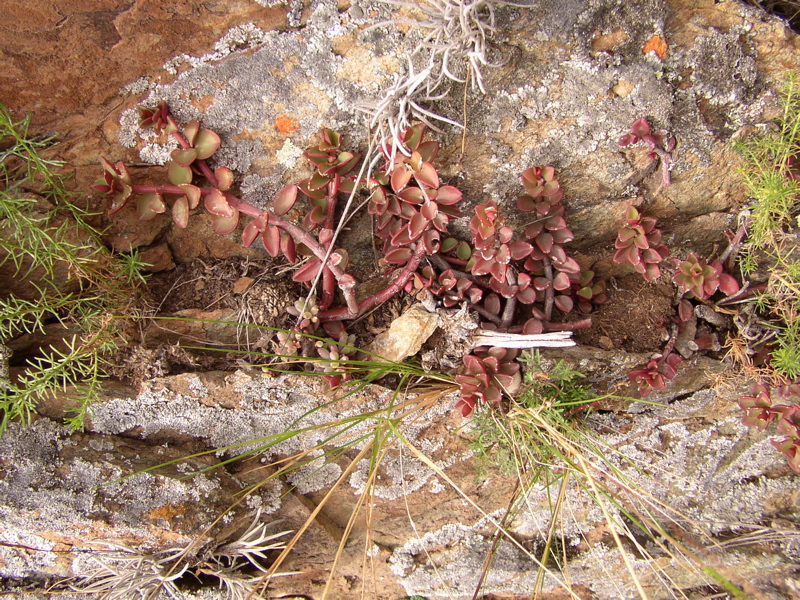 P9290116.JPG