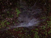 PA020037.JPG