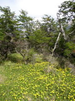 PB110167.JPG