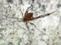 P9190074.JPG