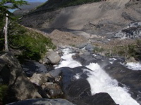 PB160019.JPG