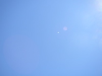 PB170050.JPG