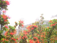 PB180070.JPG