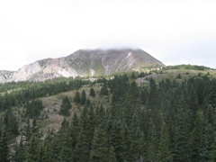STA_2336