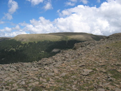 STH_2359