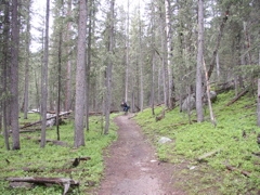 P1010049