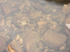 P1010062