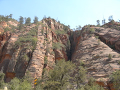 P1010162