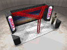 bizjet custom display